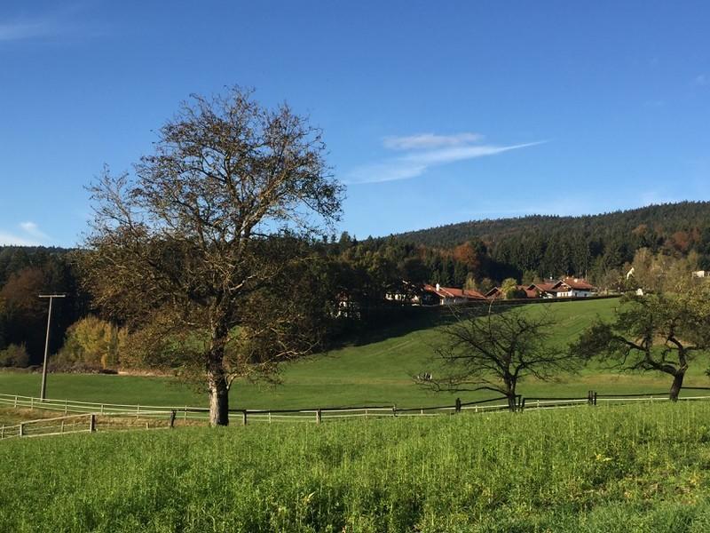 Ferienwohnung Hauzenberg Blick المظهر الخارجي الصورة